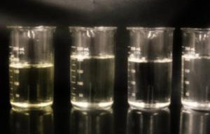 Bio-On