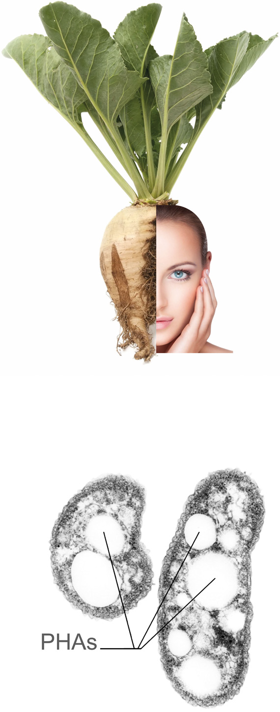 MINERV BIO COSMETICS