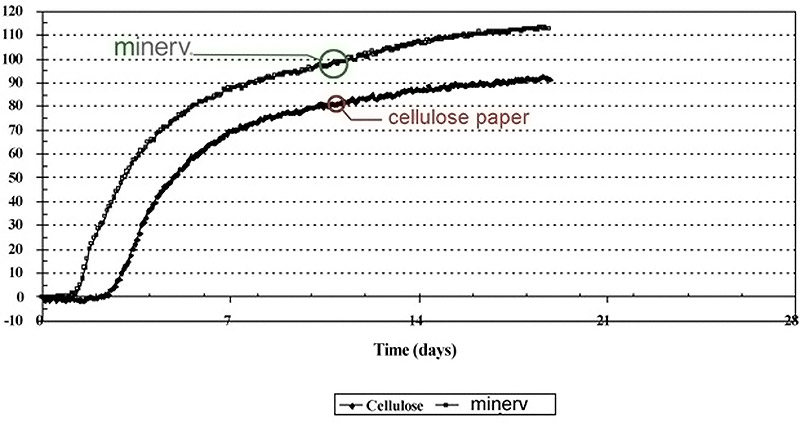 cellulose